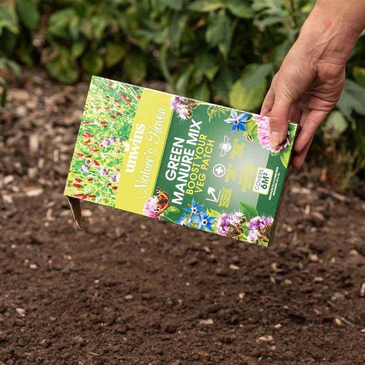 Green Manure Seeds