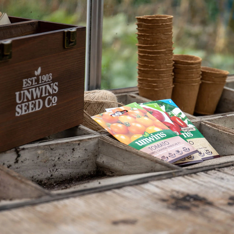Fruit / Vegetable Seeds