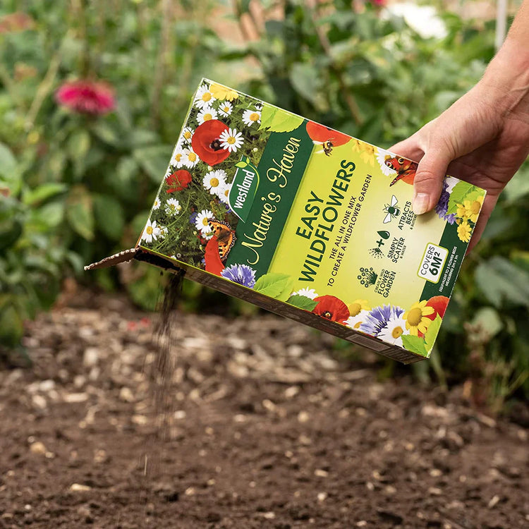 Flower Seeds