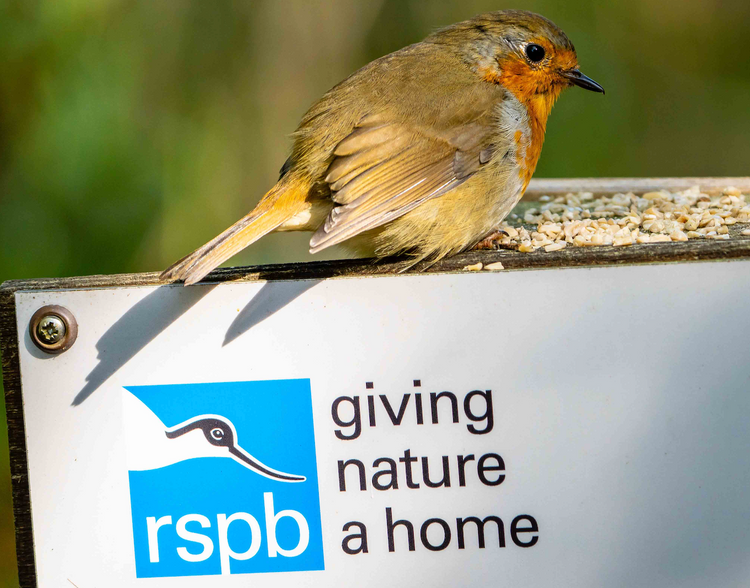 RSPB