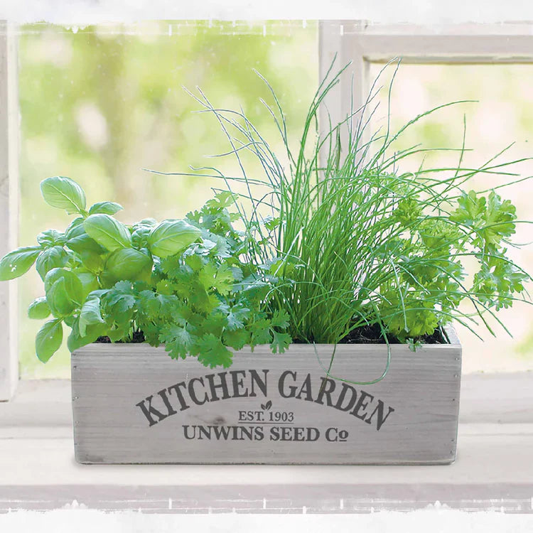Herb & Salad Seeds