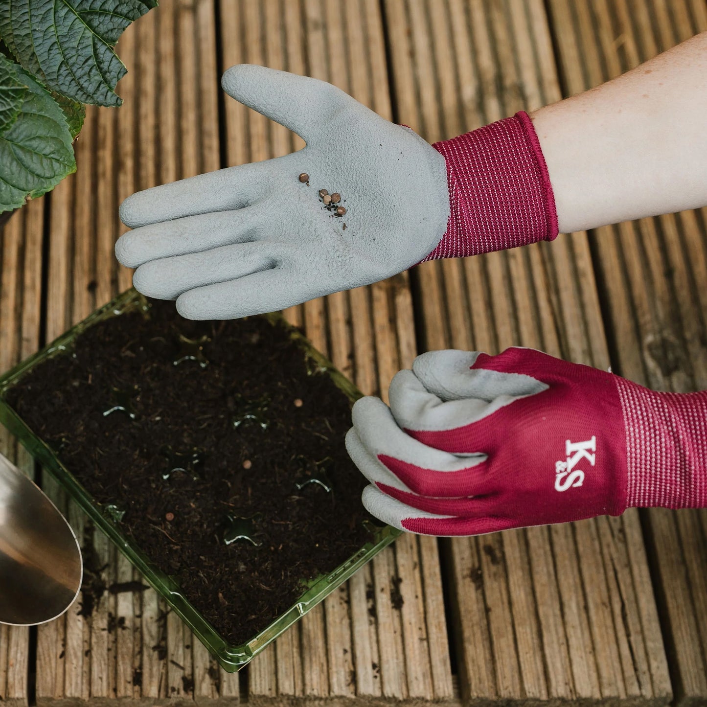 Kent & Stowe All Round Triple Pack Gloves Plum