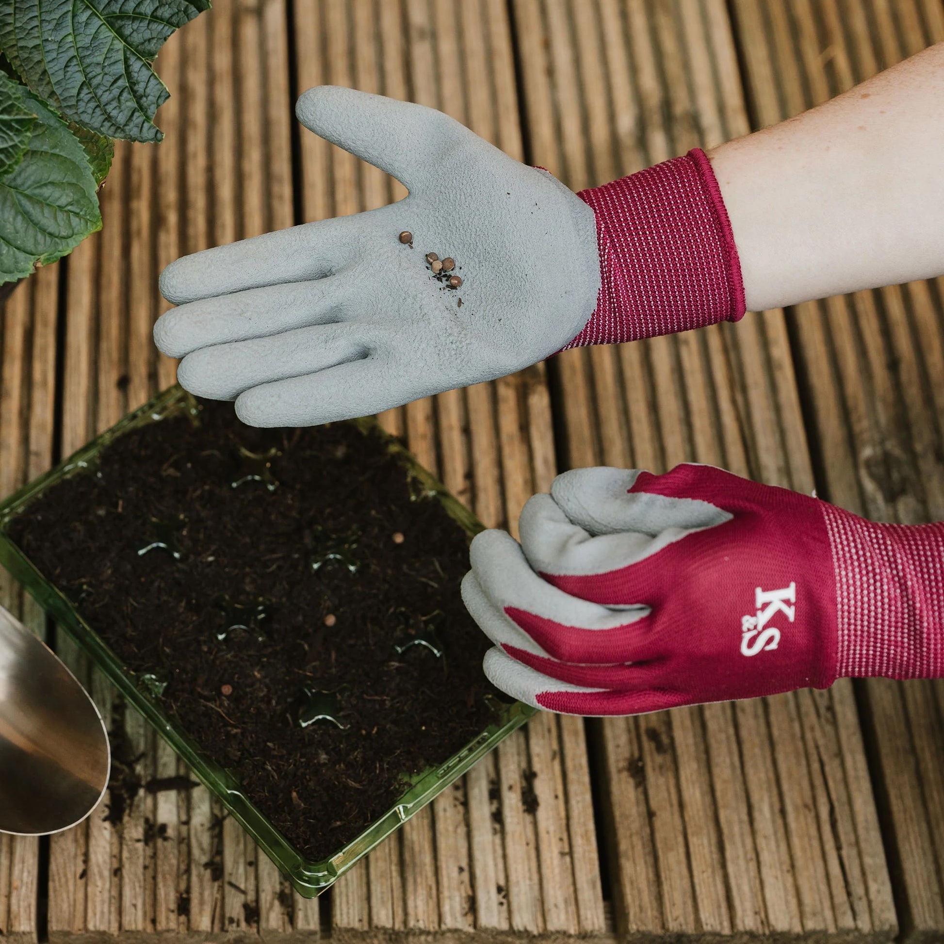 Kent & Stowe All Round Triple Pack Gloves Plum