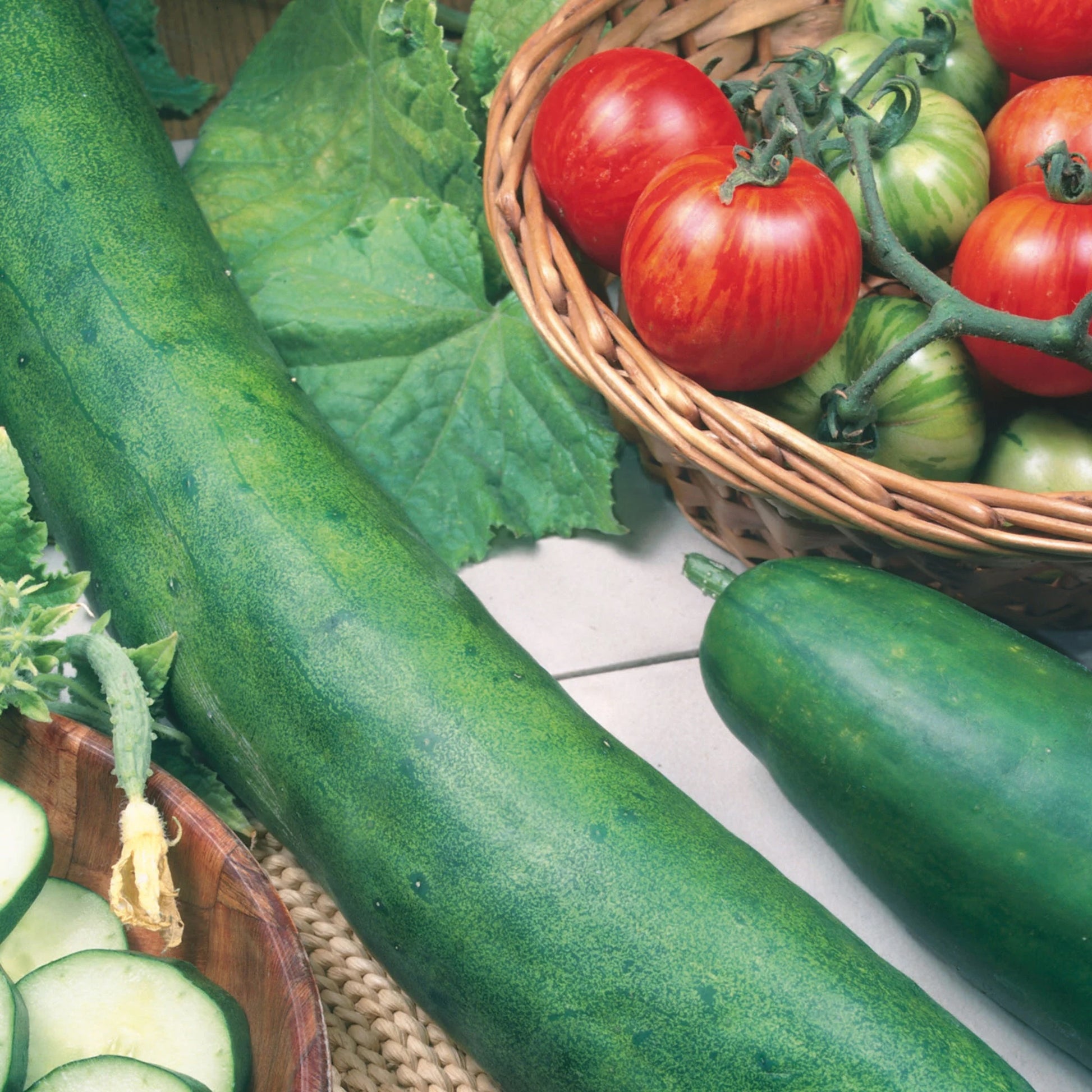 Cucumber Tasty King F1