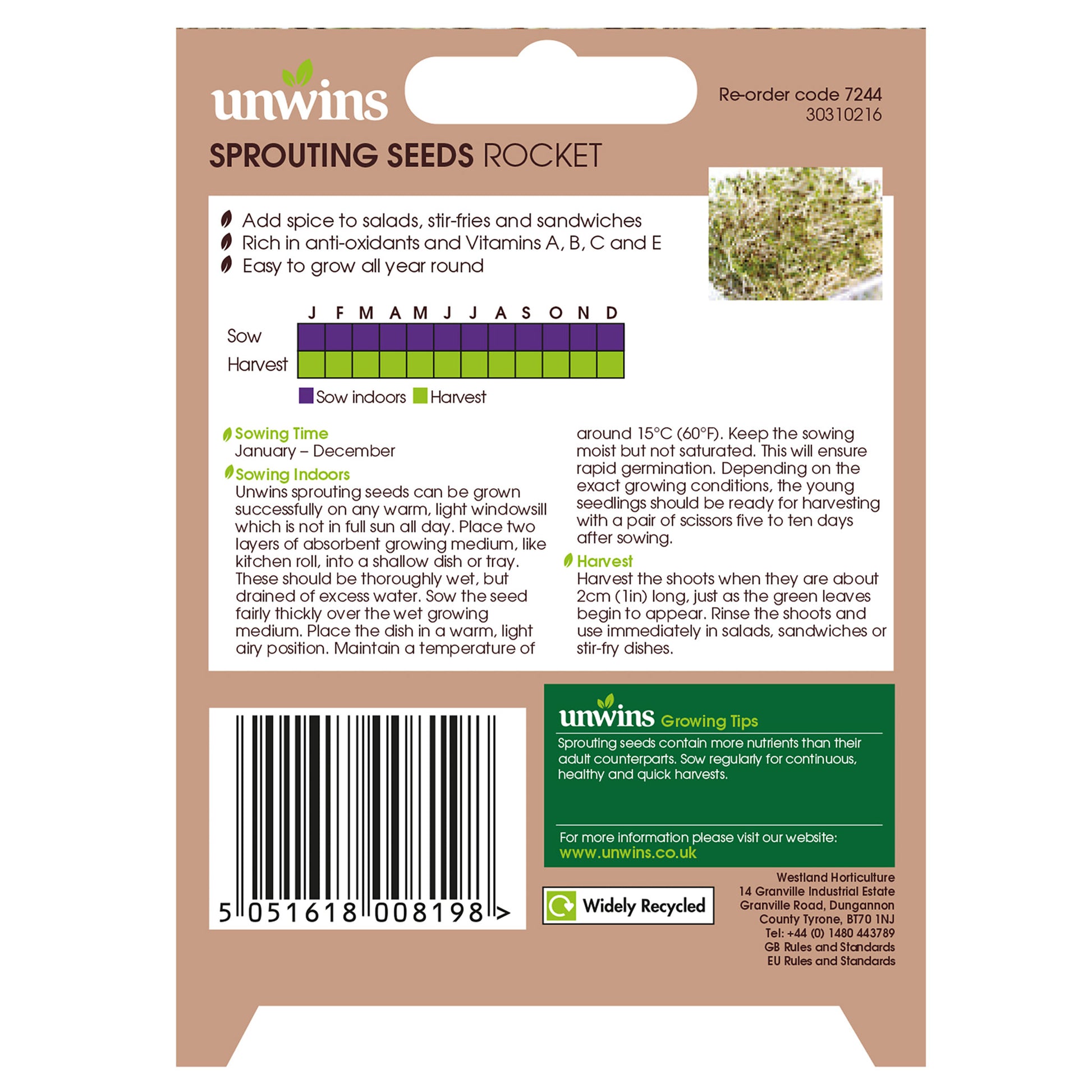 Sprouting Seeds Rocket