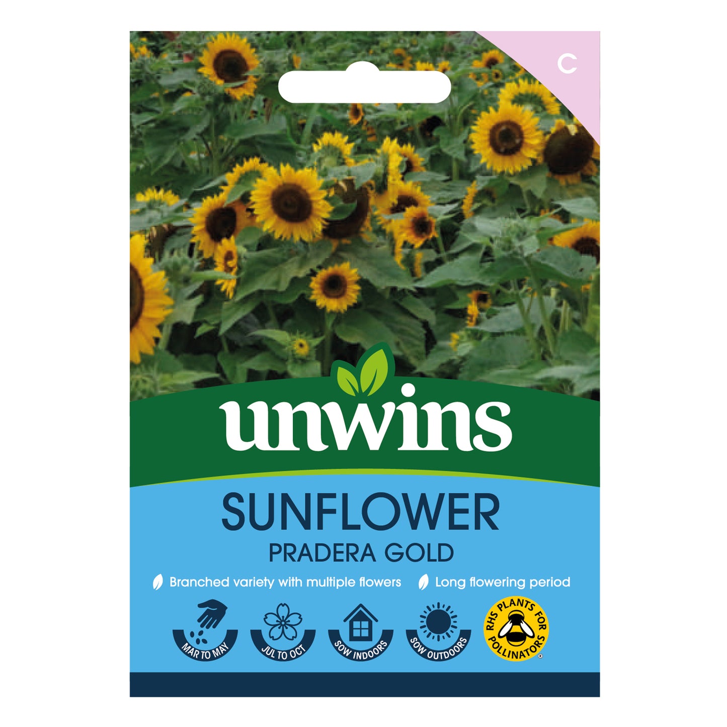 Sunflower Pradera Gold
