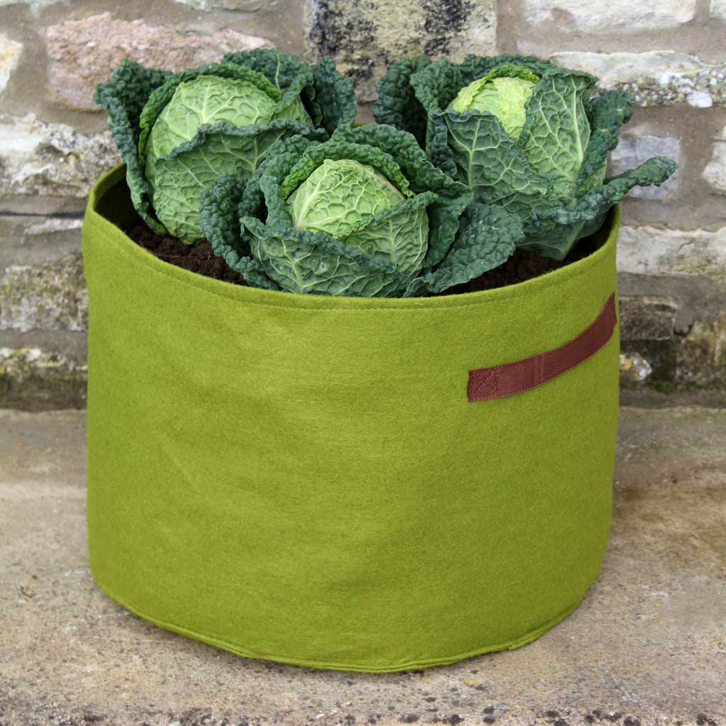 Haxnicks Vigoroot Planter