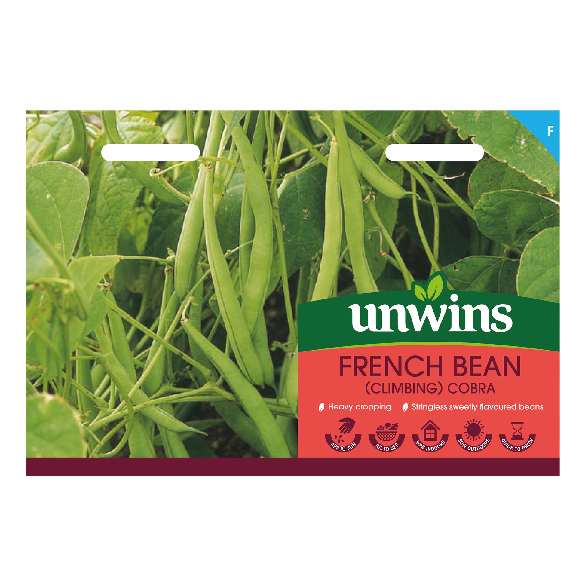 French Bean (Climbing) Cobra