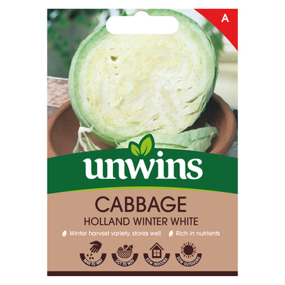 Cabbage (Round) Holland Winter White