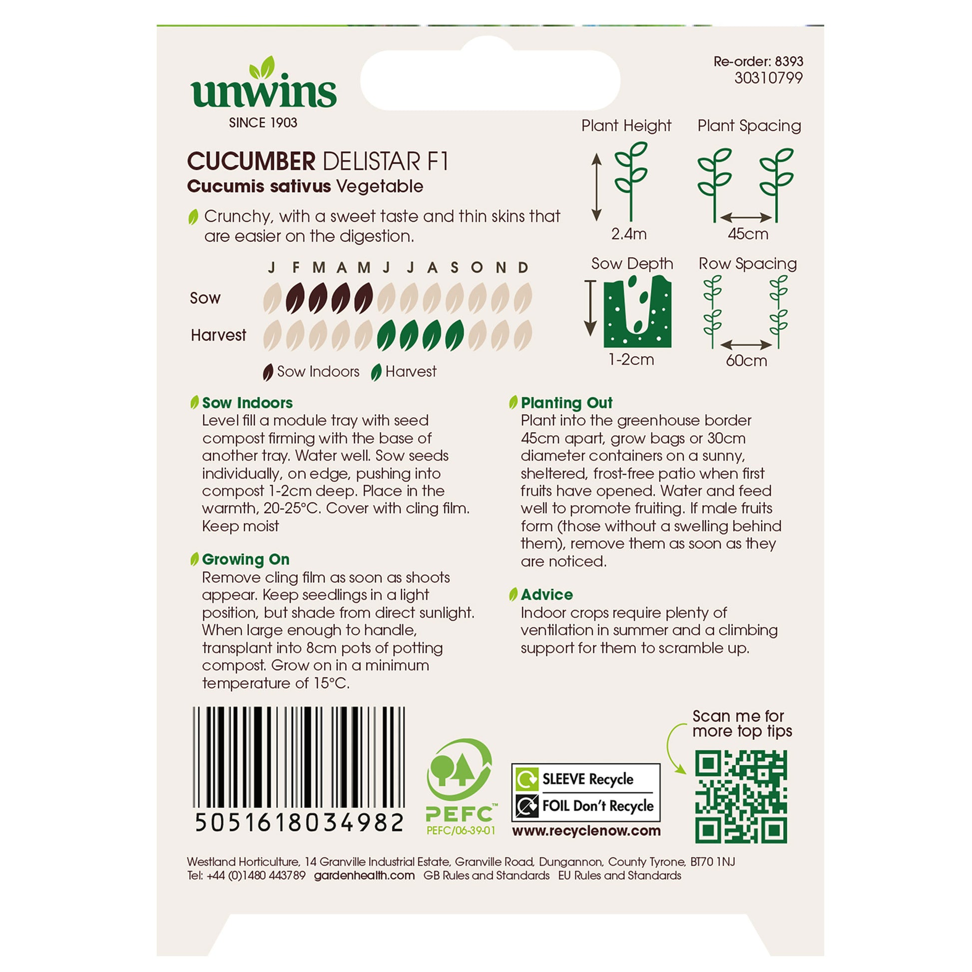 Cucumber Delistar F1