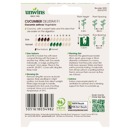 Cucumber Delistar F1
