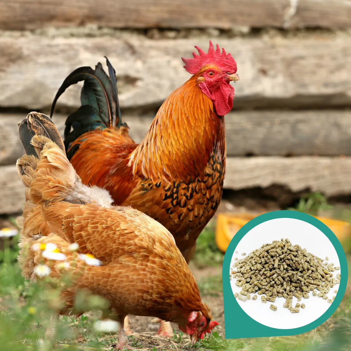 Copdock Mill Range Layers Pellets Carry Home Pack 5kg