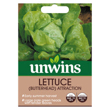 Lettuce (Butterhead) Attraction