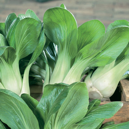 Unwins Asian Stair Fry Seed Bundle