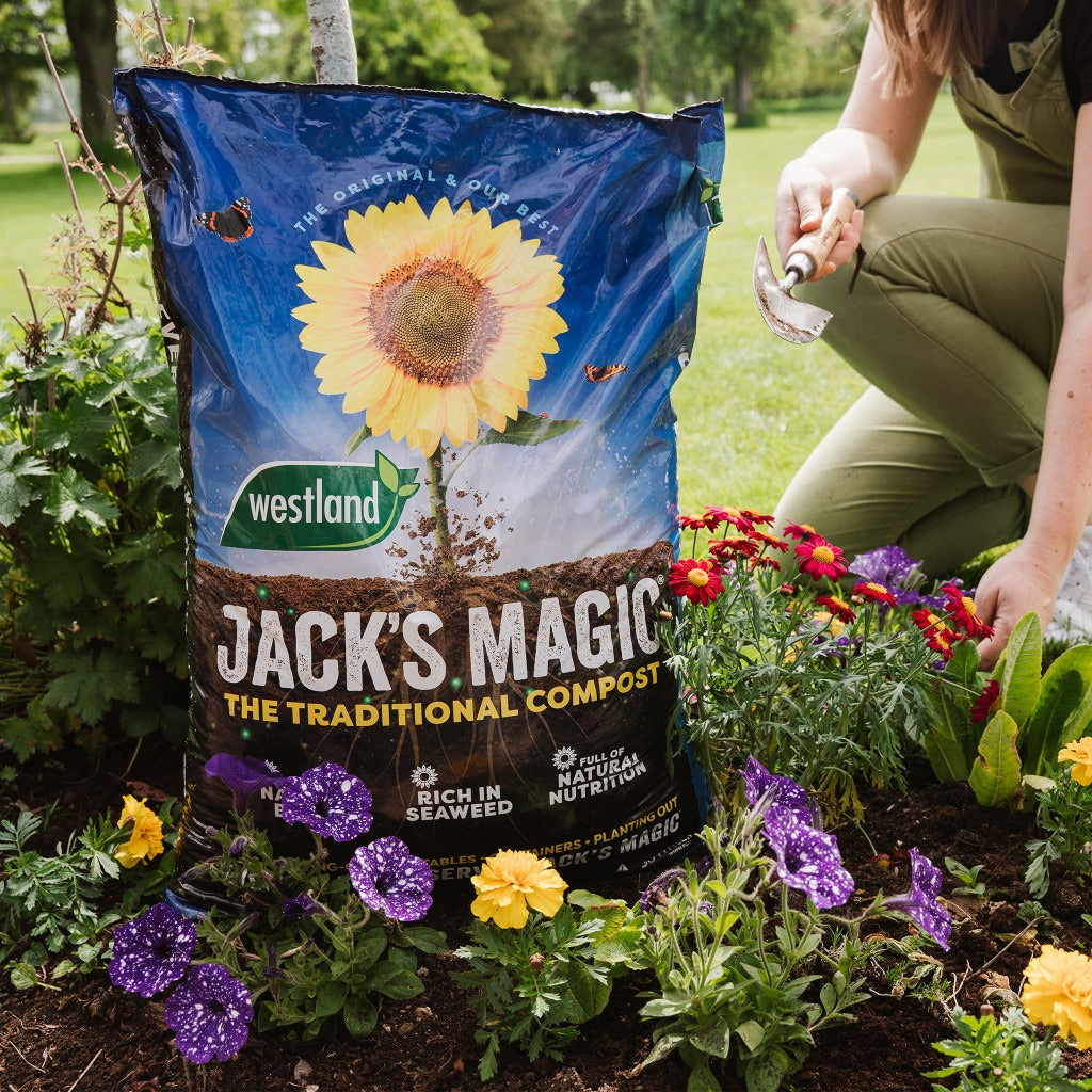 Westland Jack's Magic All Purpose Compost (Traditional Blend) 50 Litre