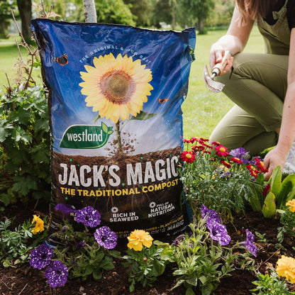 Westland Jack's Magic All Purpose Compost (Traditional Blend) 50 Litre