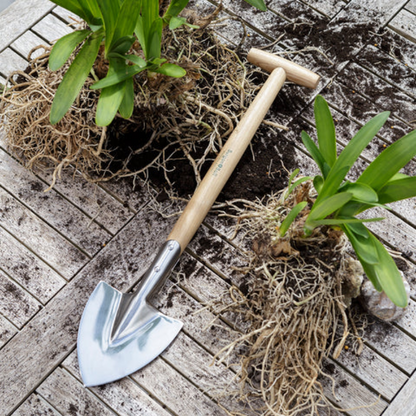 Burgon & Ball Stainless Perennial Spade