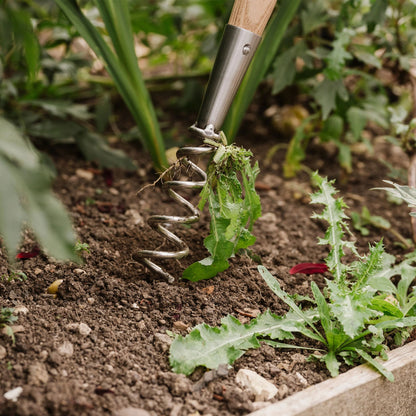 Kent & Stowe Stainless Steel Hand Corkscrew Weeder