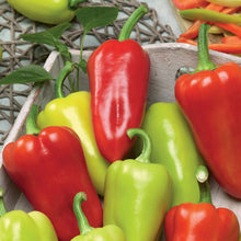 Pepper (Sweet) Slavus