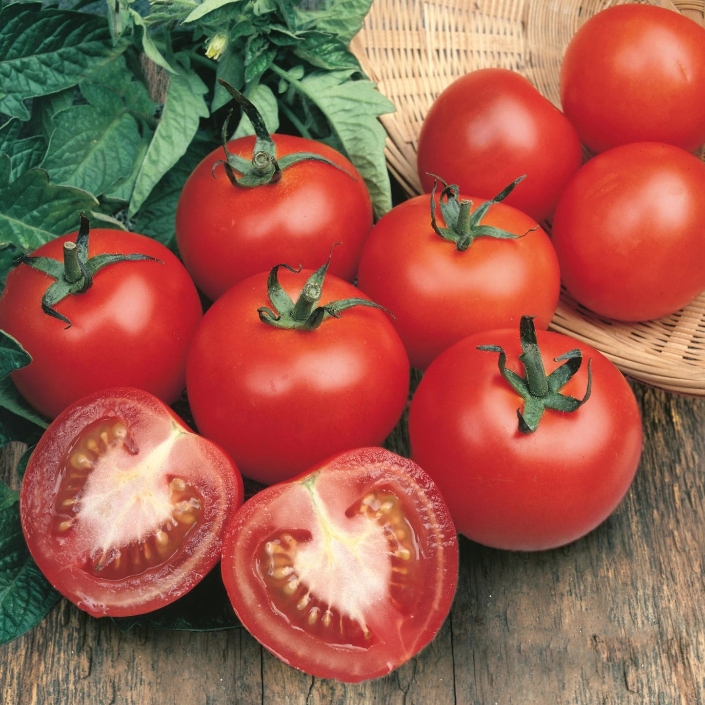 Tomato (Salad) Alicante