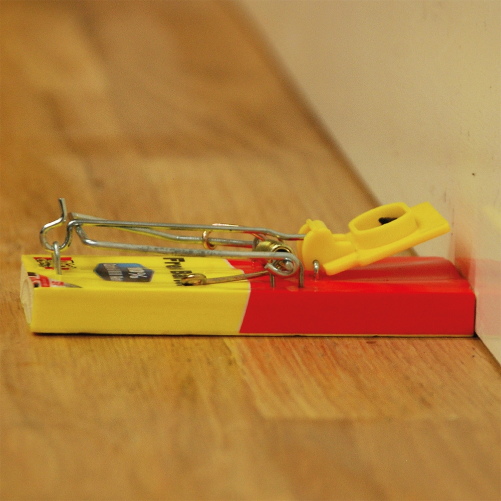 The Big Cheese Fresh Baited Mouse Trap - Twinpack