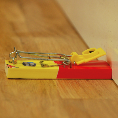 The Big Cheese Fresh Baited Mouse Trap - Twinpack