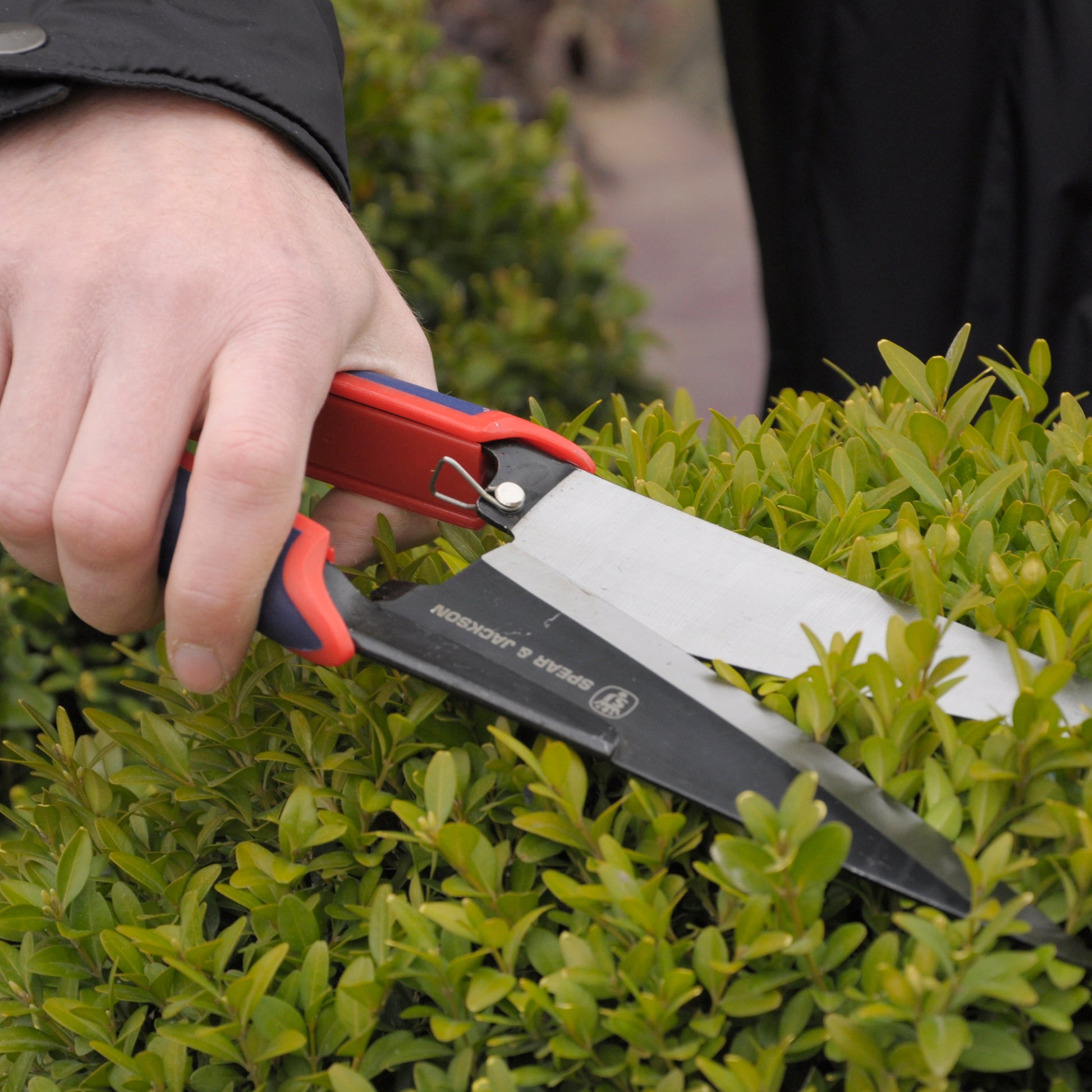 Spear & Jackson Topiary Shears