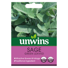 Herb Sage Green Leaved