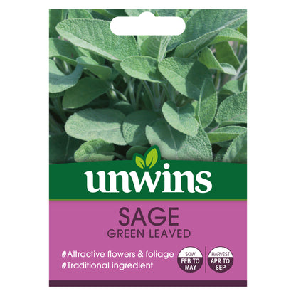Herb Sage Green Leaved