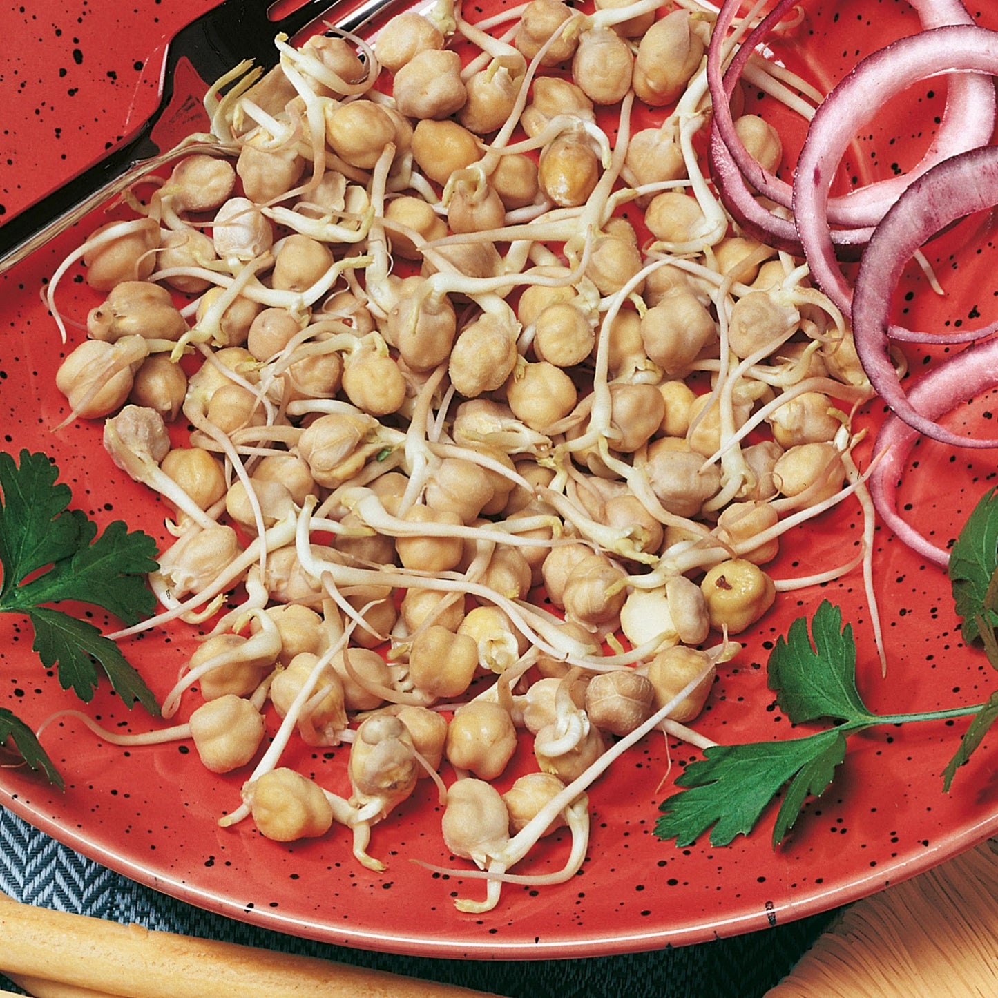 Sprouting Seeds Chickpea