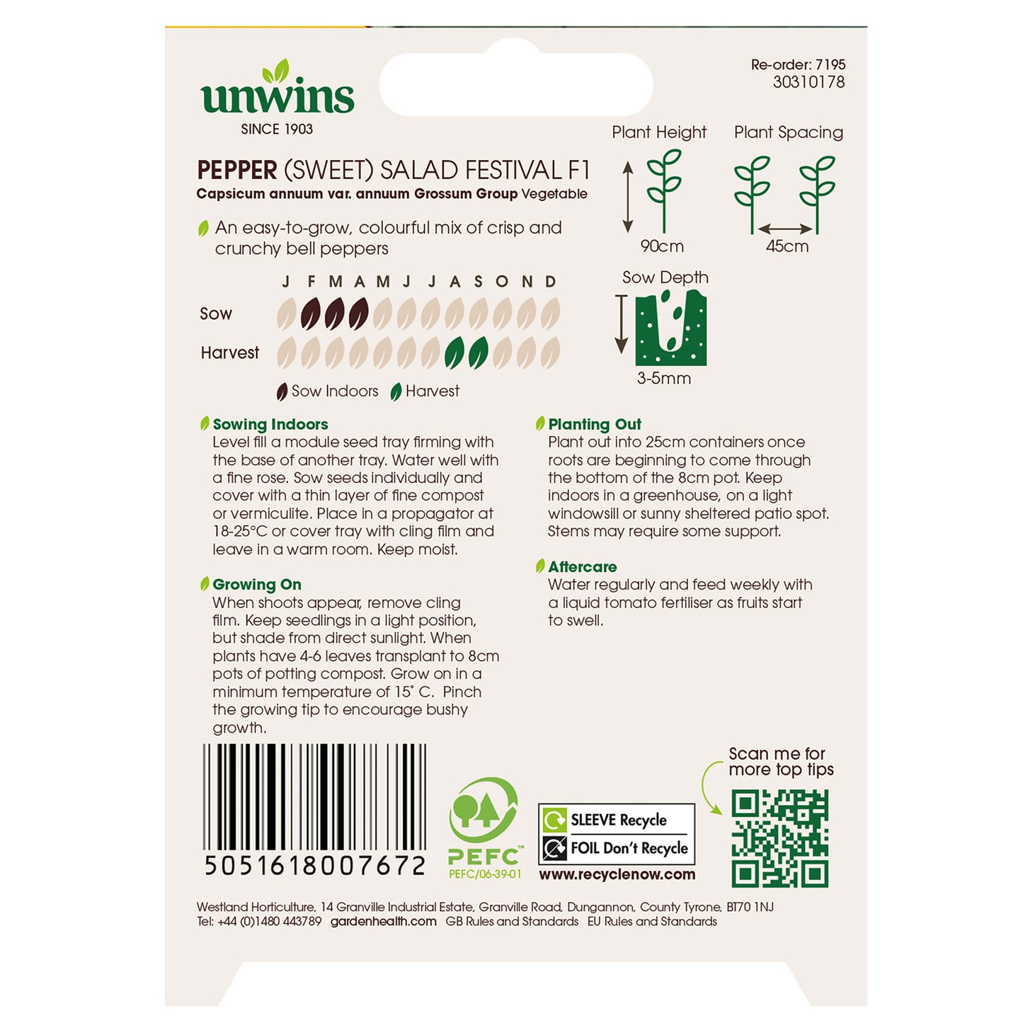 Pepper (Sweet) Salad Festival F1