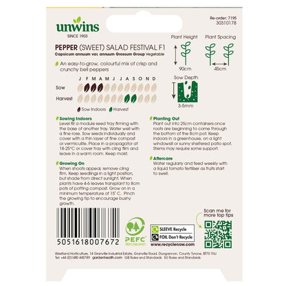 Pepper (Sweet) Salad Festival F1