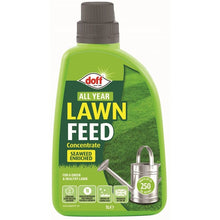 Doff All Year Lawn Feed Concentrate - 1 Litre