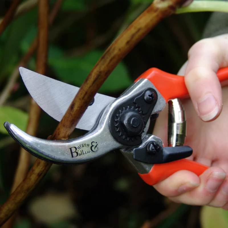Burgon & Ball Bypass Secateurs