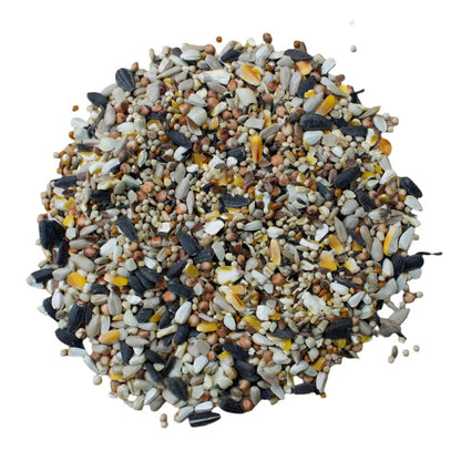 Extra Select No Wheat Wild Bird Food