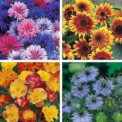 Unwins Scatter & Grow Collection Pack