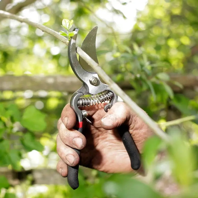 Spear & Jackson Vintage Bypass and Anvil Secateurs Set
