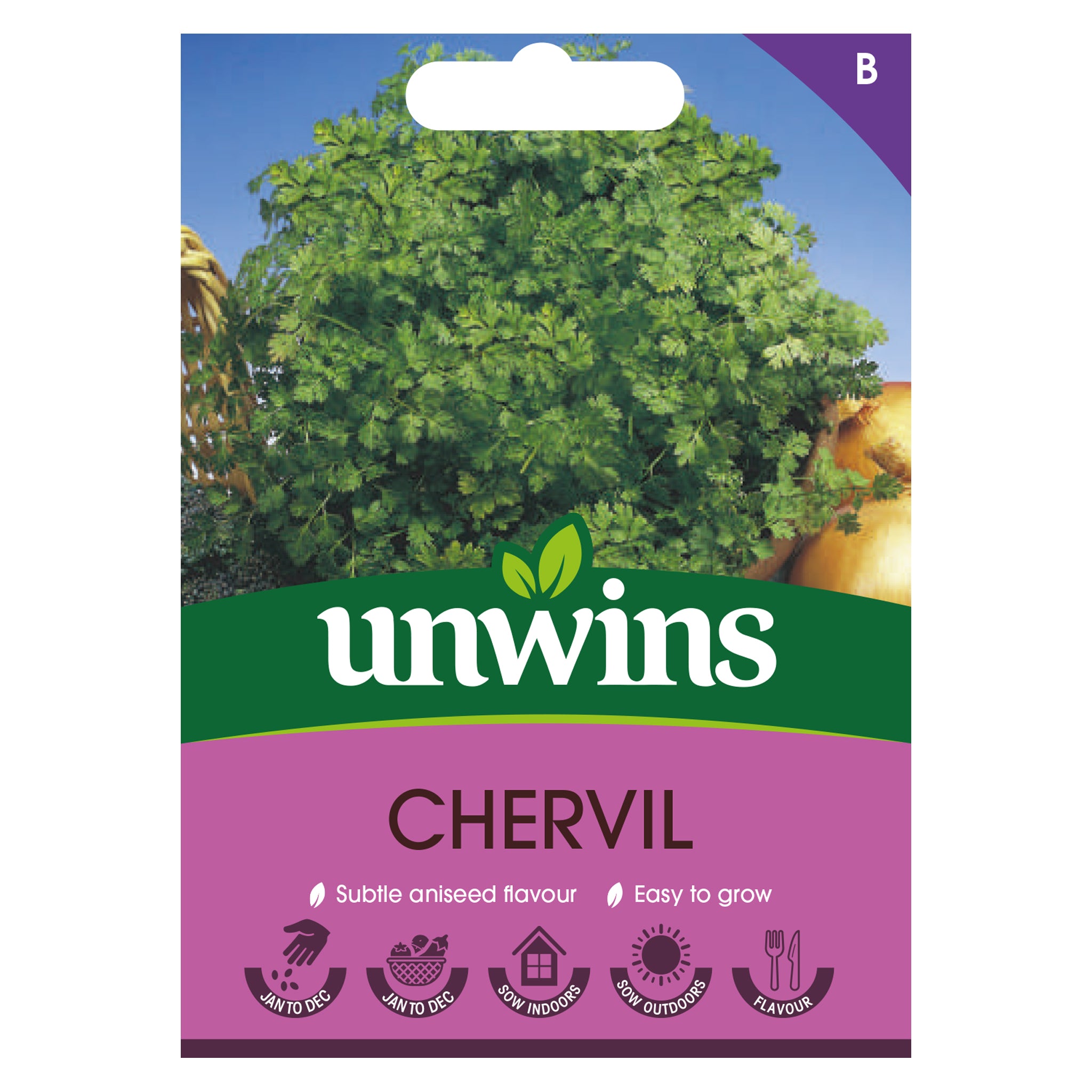 Herb Chervil