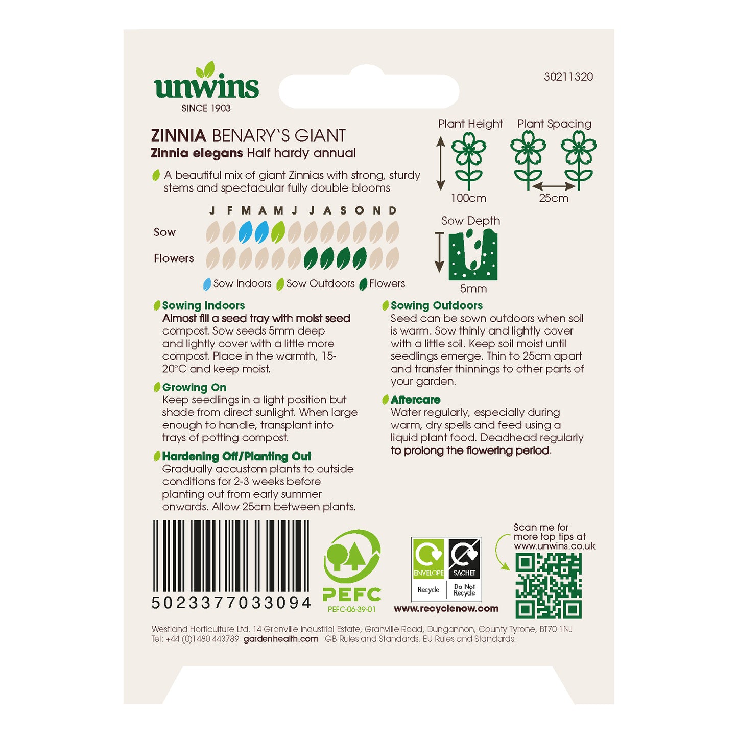 Zinnia Benary's Giant