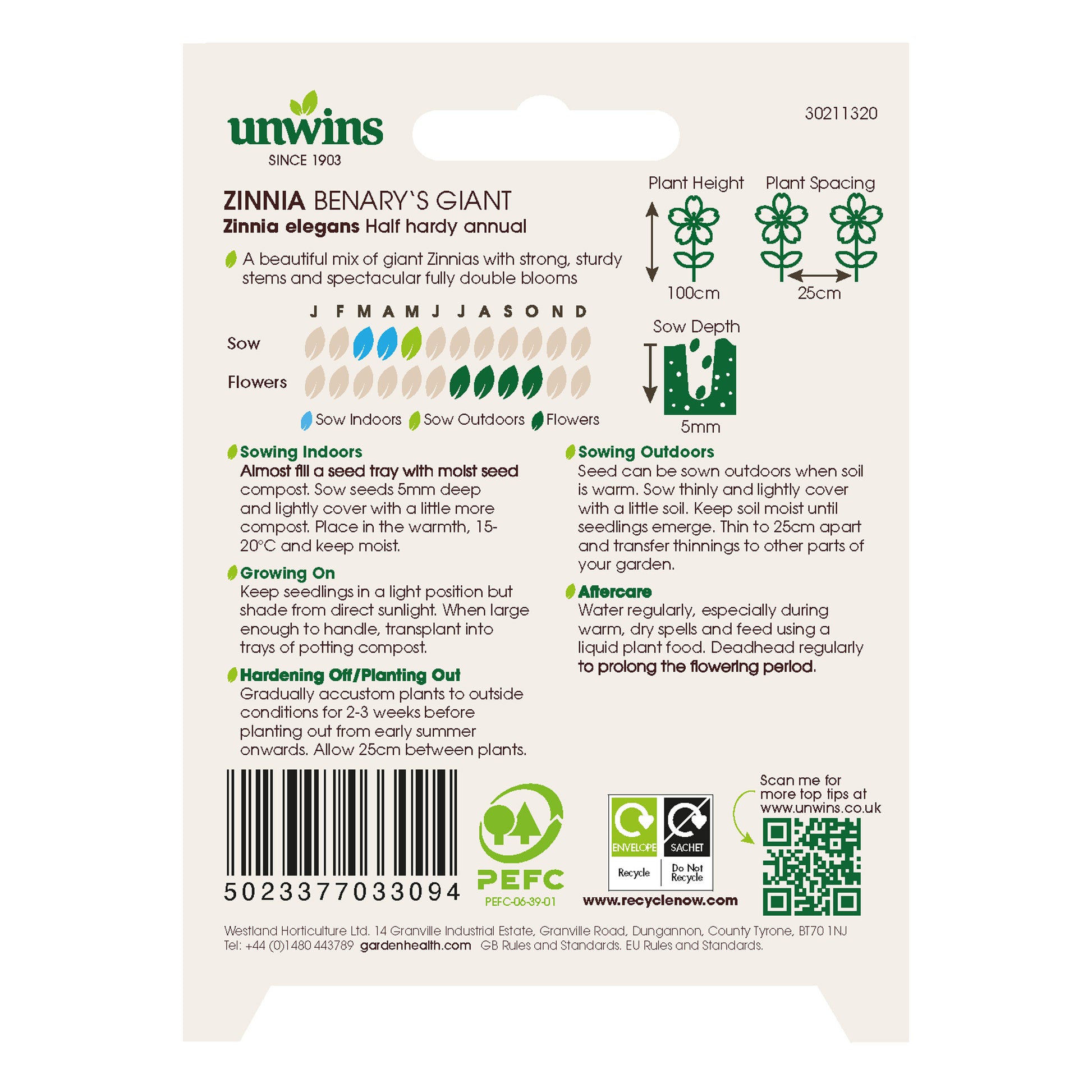 Zinnia Benary's Giant