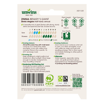 Zinnia Benary's Giant