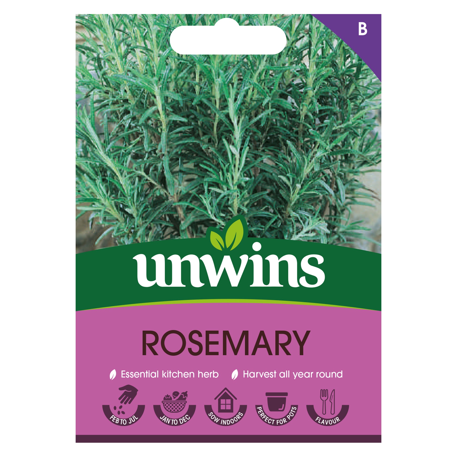 Herb Rosemary