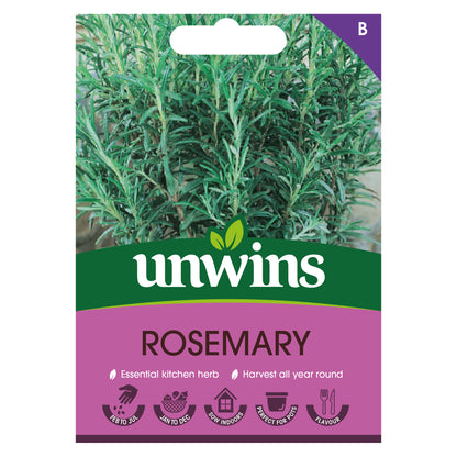 Herb Rosemary