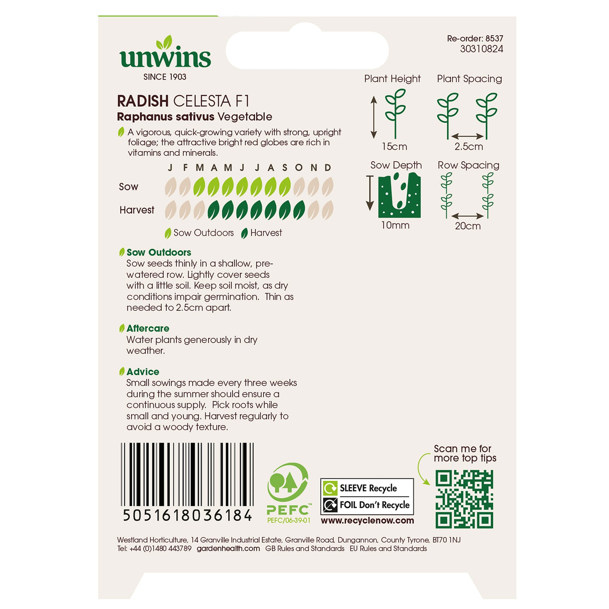 Radish Celesta F1 AGM