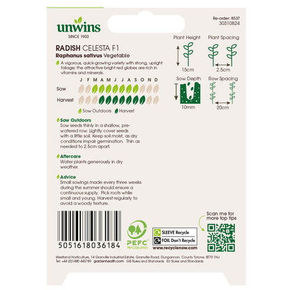 Radish Celesta F1 AGM