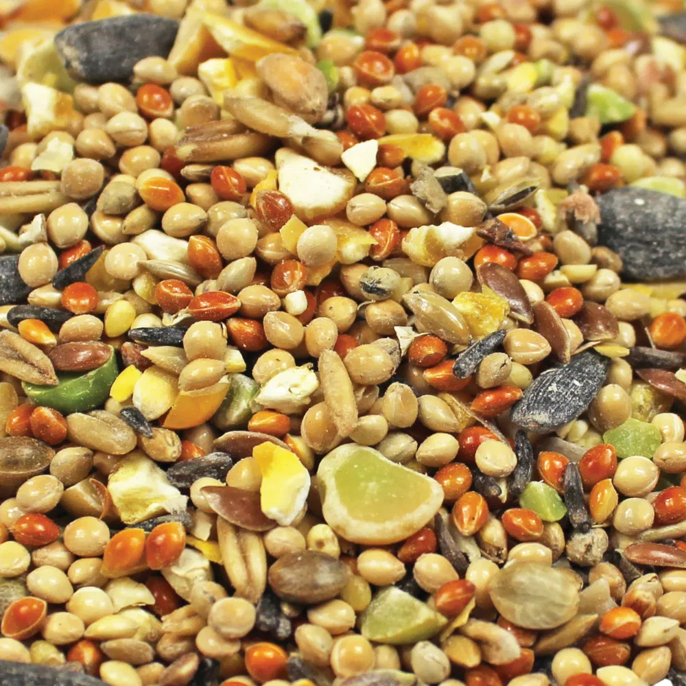 Copdock Mill Wild Bird Mix Wheat Free 2.5kg