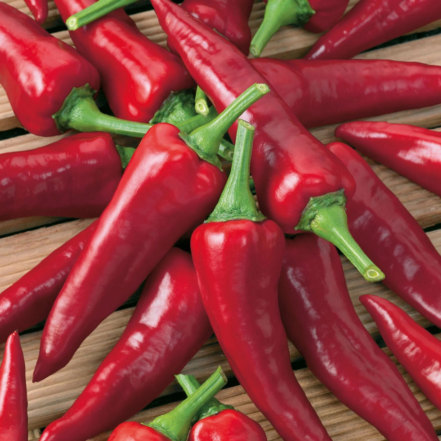 Pepper (Chilli) Cayennetta F1