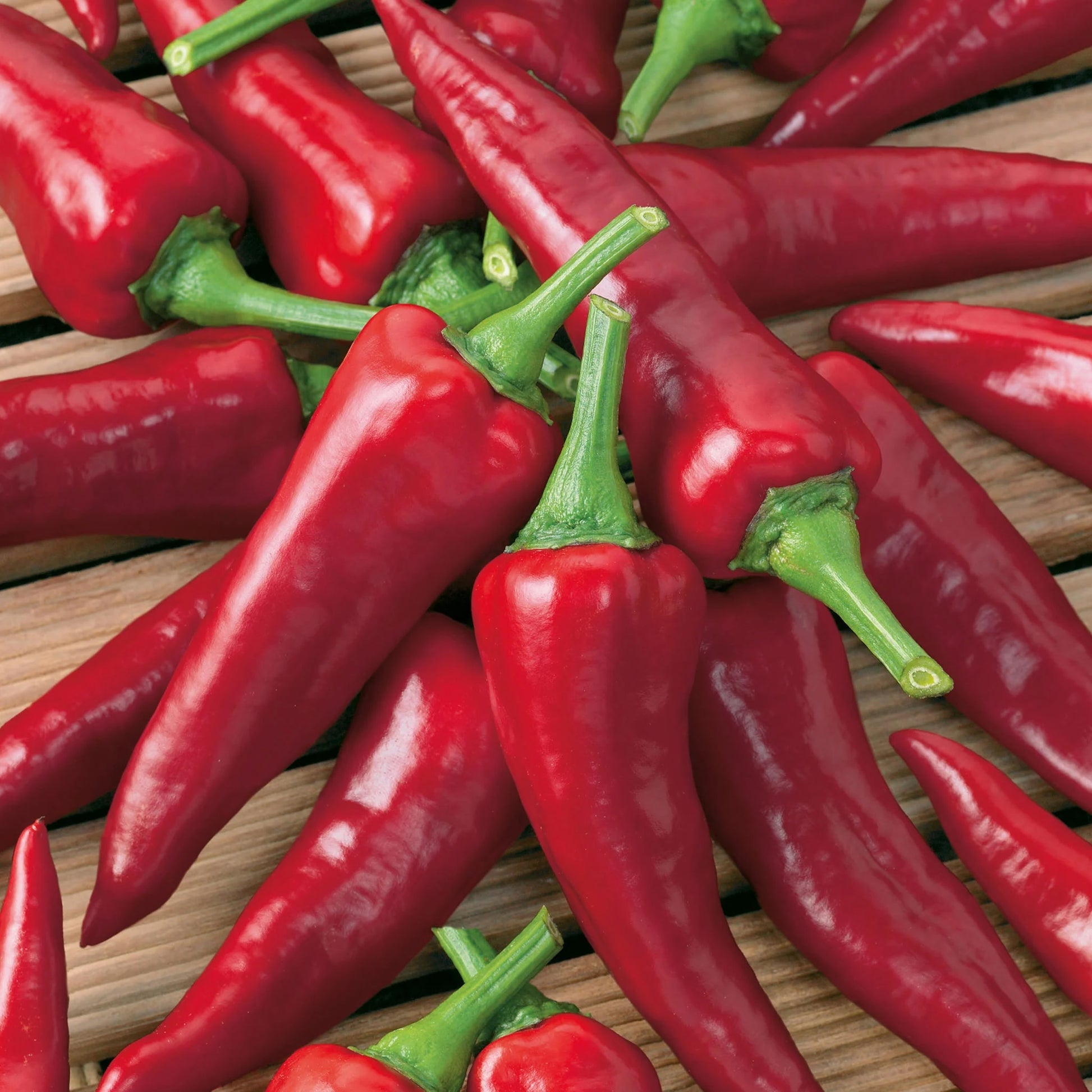 Pepper (Chilli) Cayennetta F1