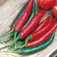 Pepper (Chilli) Tokyo Hot F1