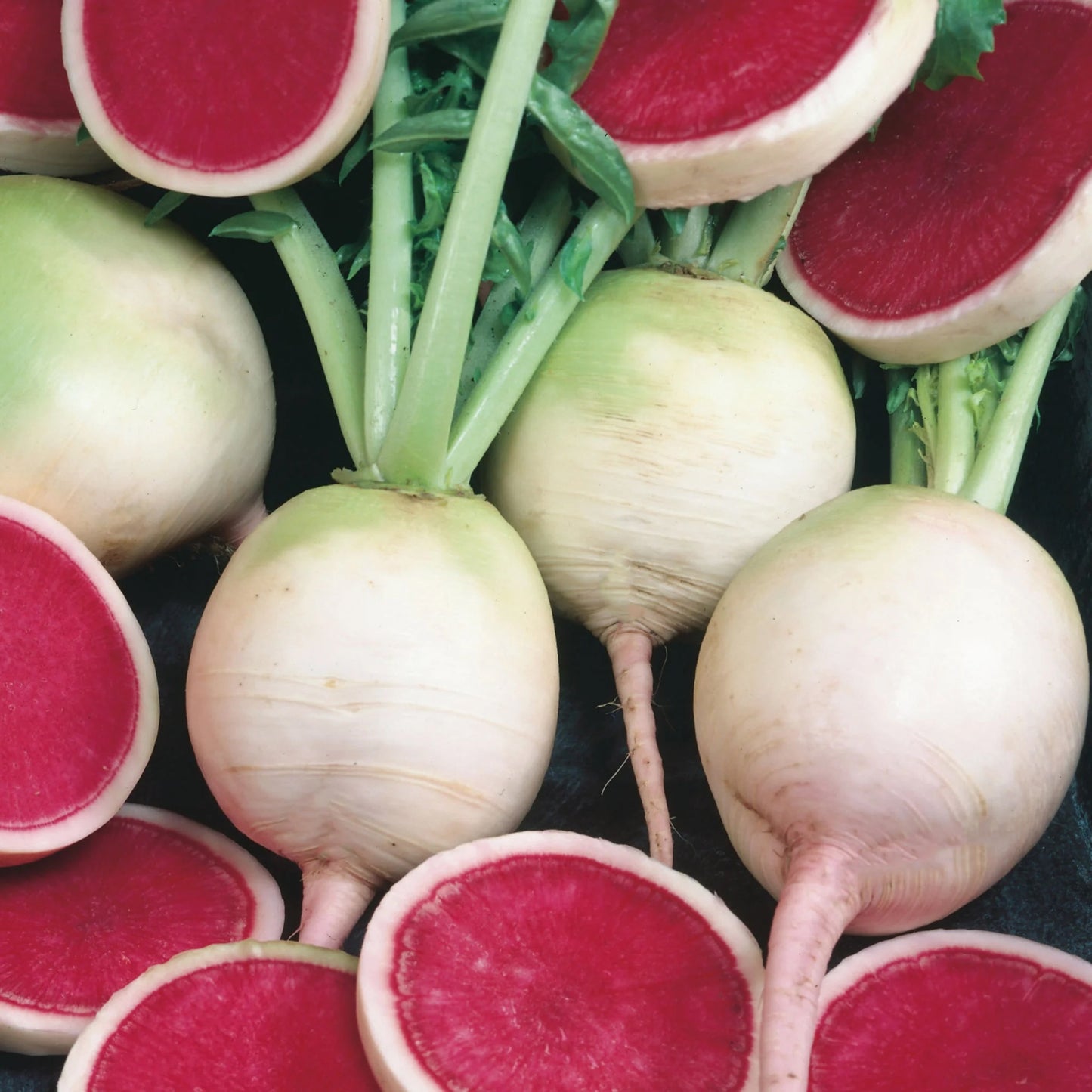 Radish Mantanghong F1